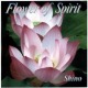 FlowerOfSpirit