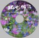 kitanoirodori-sinwa